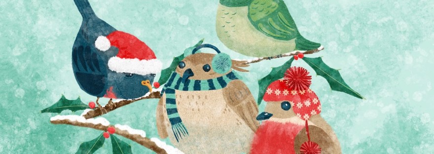cozy holiday birds in caps and scarves