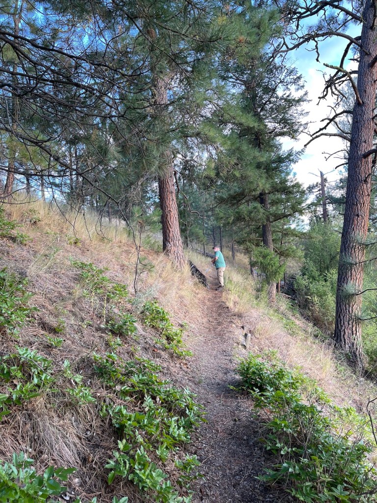 Guthrie hears the squirrel