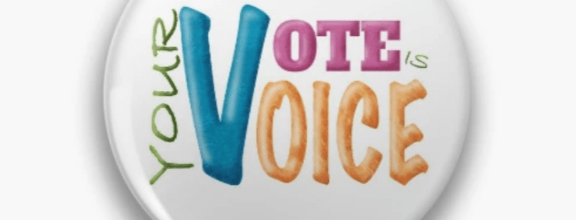 pin that says in color: Your Vote is Your Voice