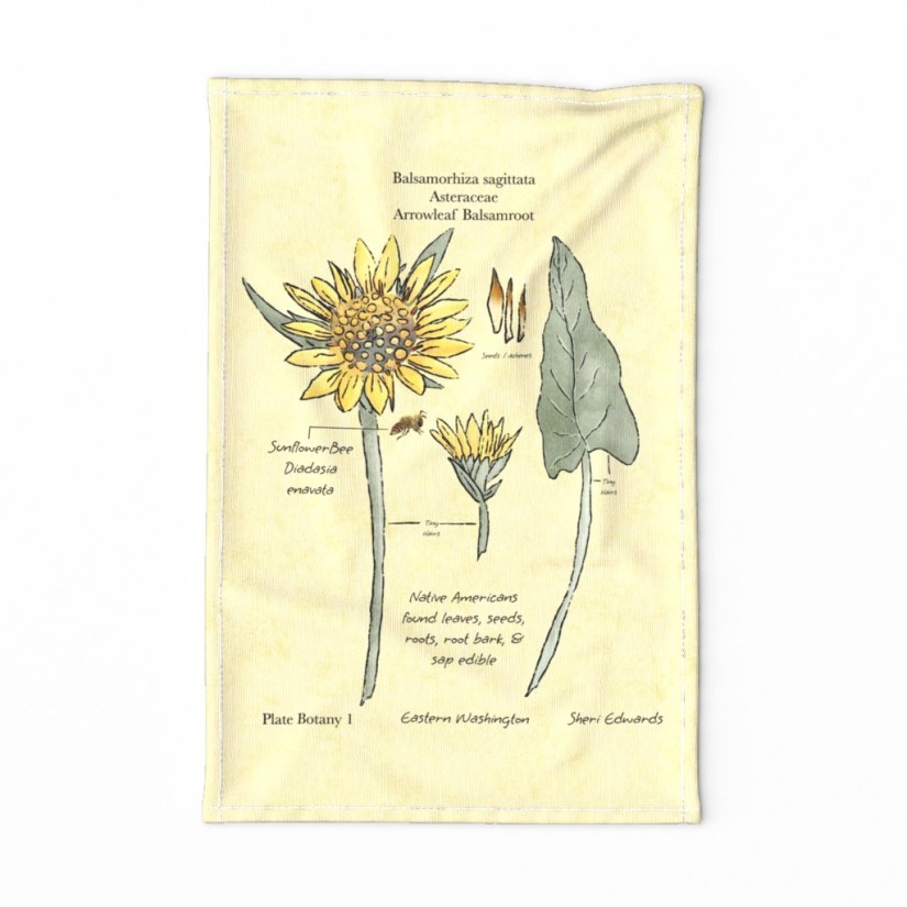 botanical tea towel for arrowleaf balsamroot by Sheri42 on Spoonflower