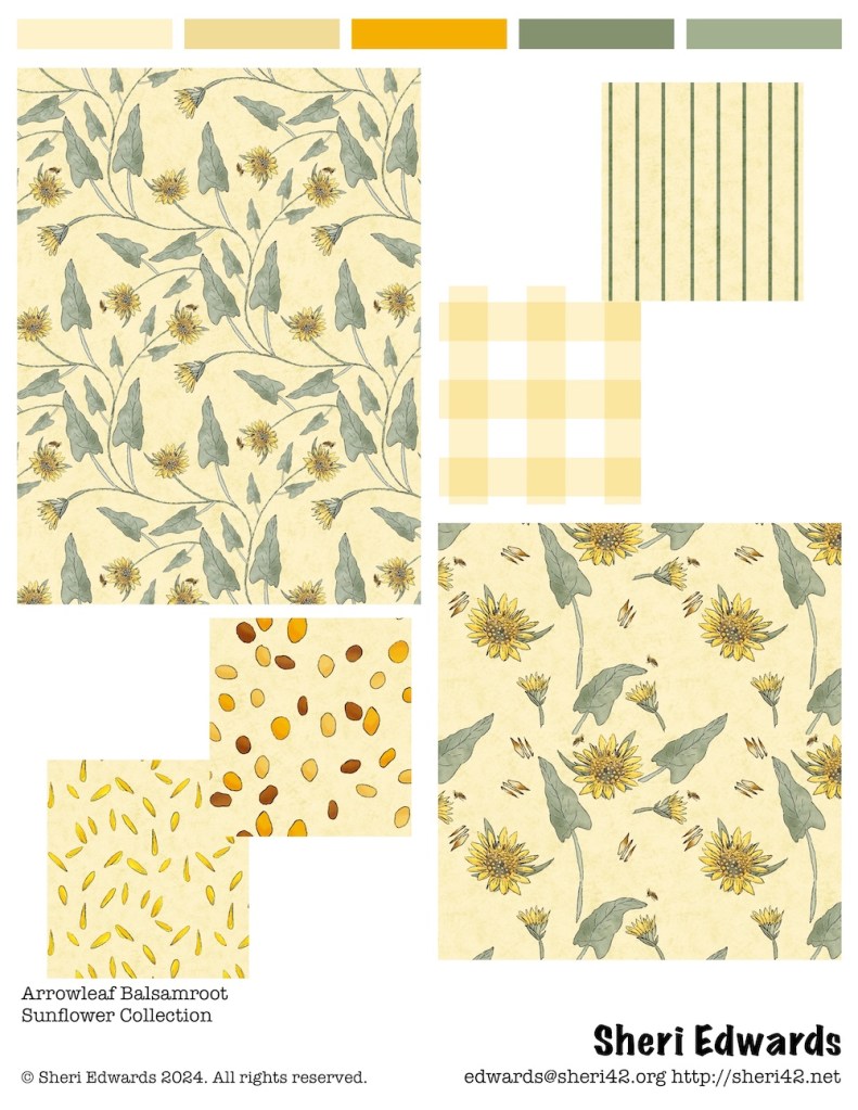 arrowleaf balsamroot collection by sheri42