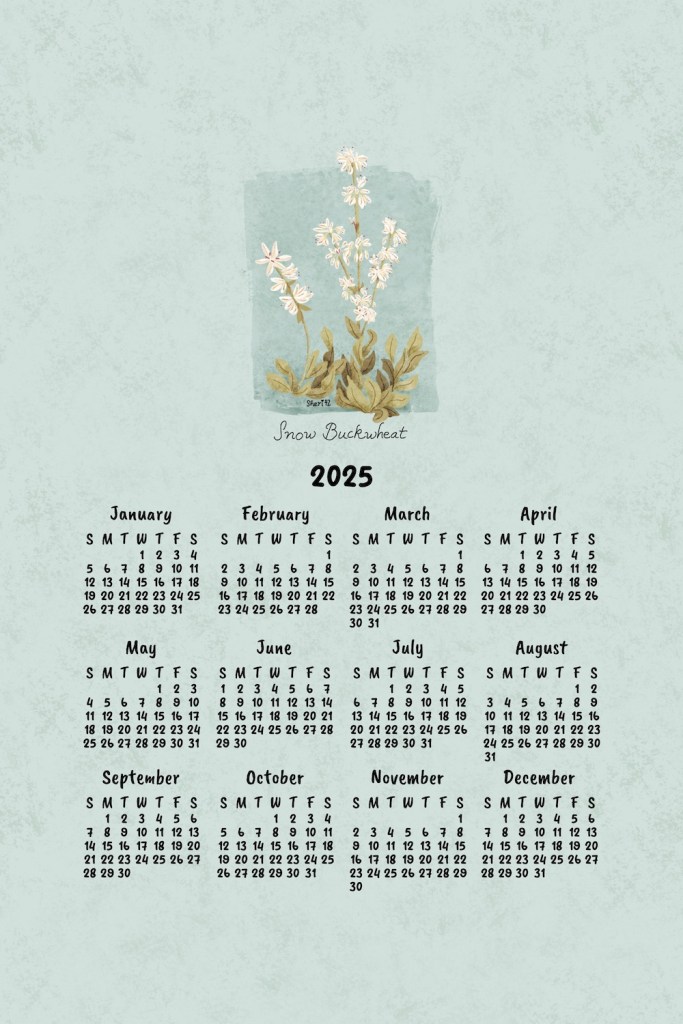 tea towel calendar showing snow buckwheat illustrated by Sheri42