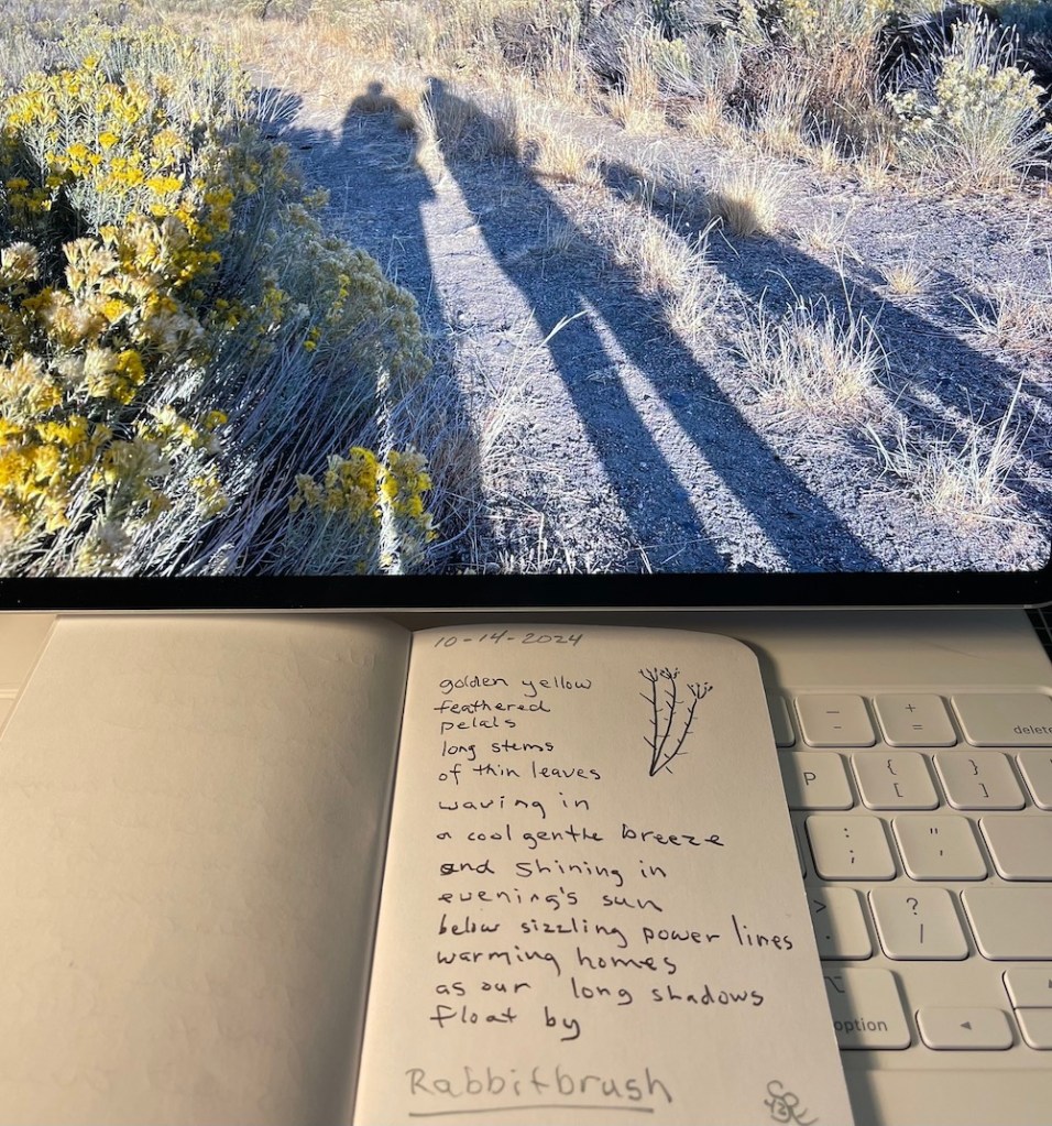 photo of shadows of two people walking their dog beside rabbitbrush plus photo of field notes