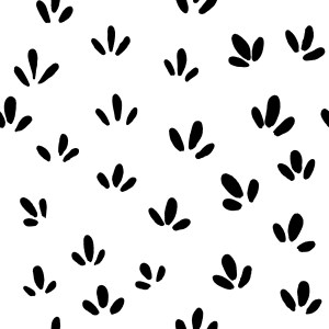 3 seeds together accent pattern by Sheri42