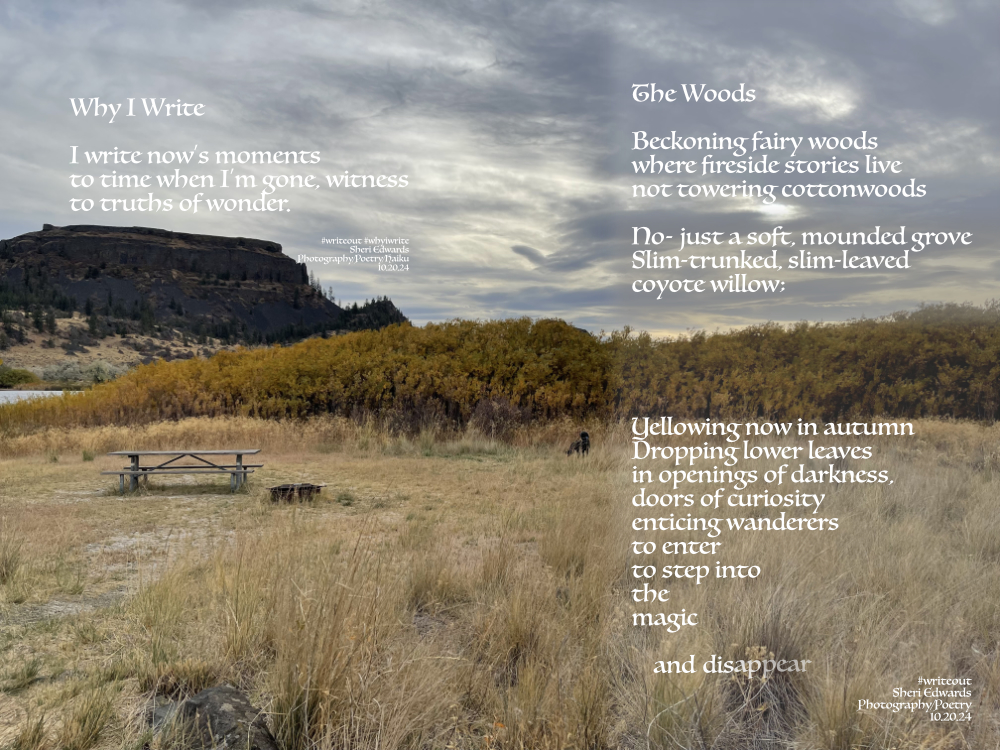 grove of coyote willow and two poems
