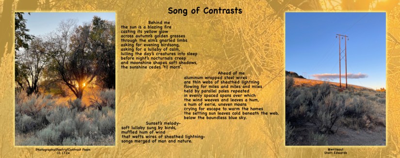 two photos: one of sunset streaming through elm trees and golden grasses; the other of power lines over desert country with a poem about the contrasts "song of contrasts" by Sheri Edwards