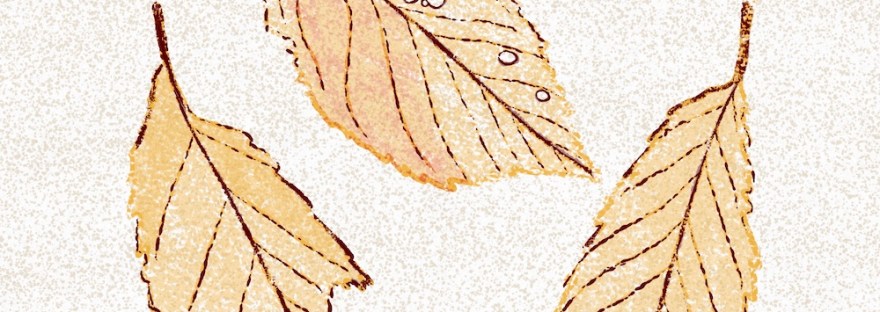 American elm leaves illustration by Sheri42; crayon etching style