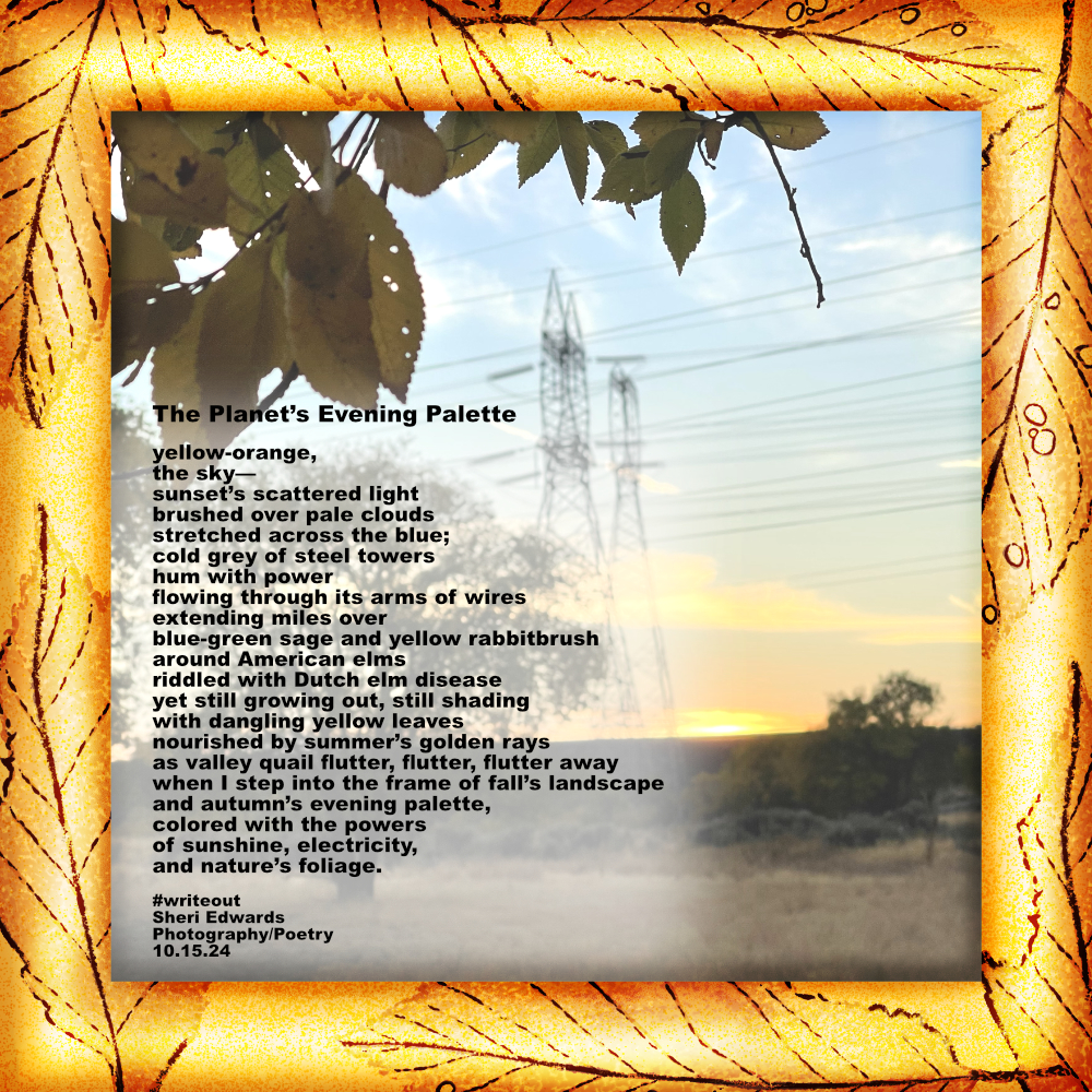 photo of sunset by American Elm leaves and power lines framed in crayon etchings; both by Sheri42