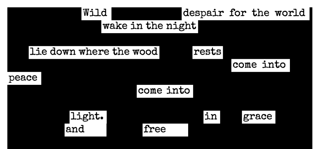 blackout poetry:
Wild despair
wake in the night
lie down
where the wood rests
come into peace
come into light
in grace
and free
