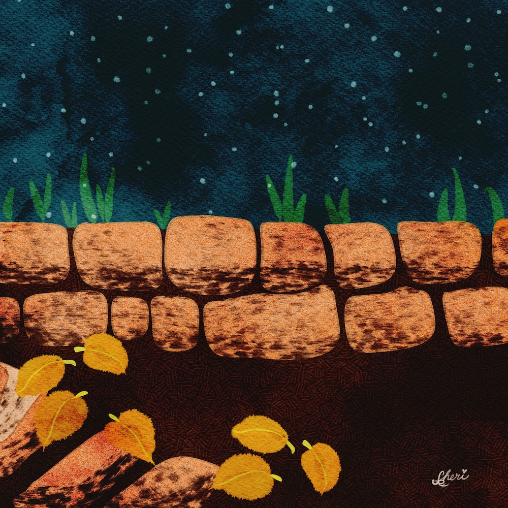 exposed rock wall and maple leaves gathered on stone steps, none of which is on her map