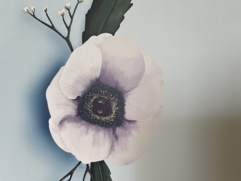 anemone satin from Flickr by Sheri42