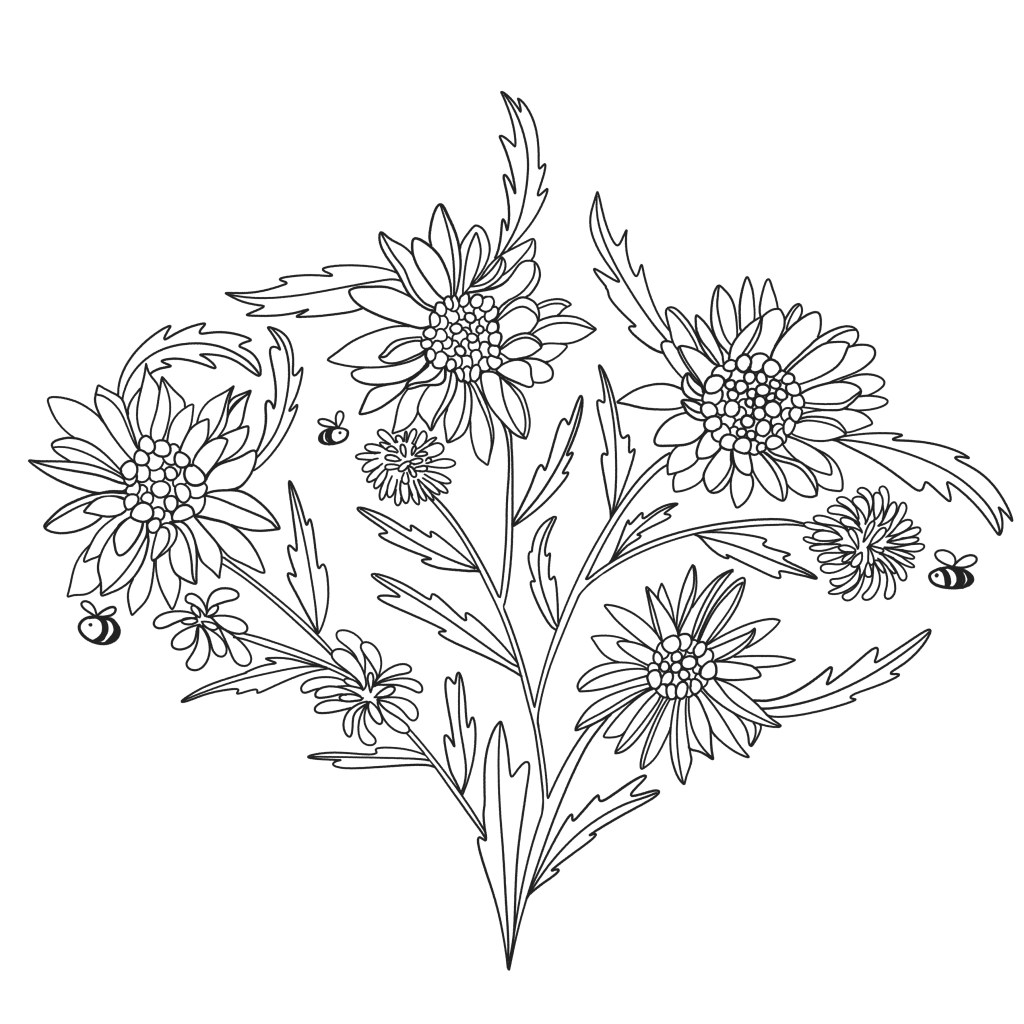 original gumweed sketch by Sheri42