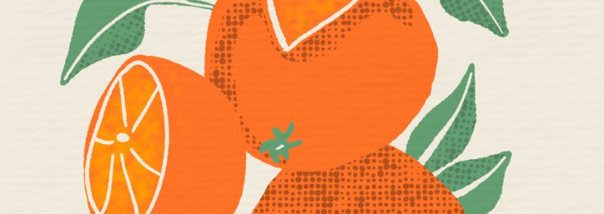 oranges in MidCentury style