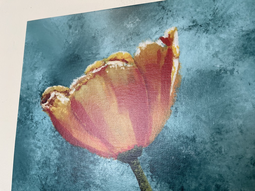 canvas poppy satin from Flickr by Sheri42