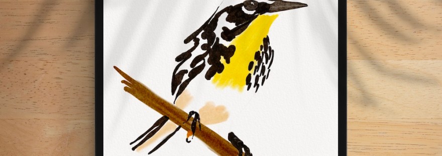mockup of Yellow-throated warbler by Sheri42 in semi-e style
