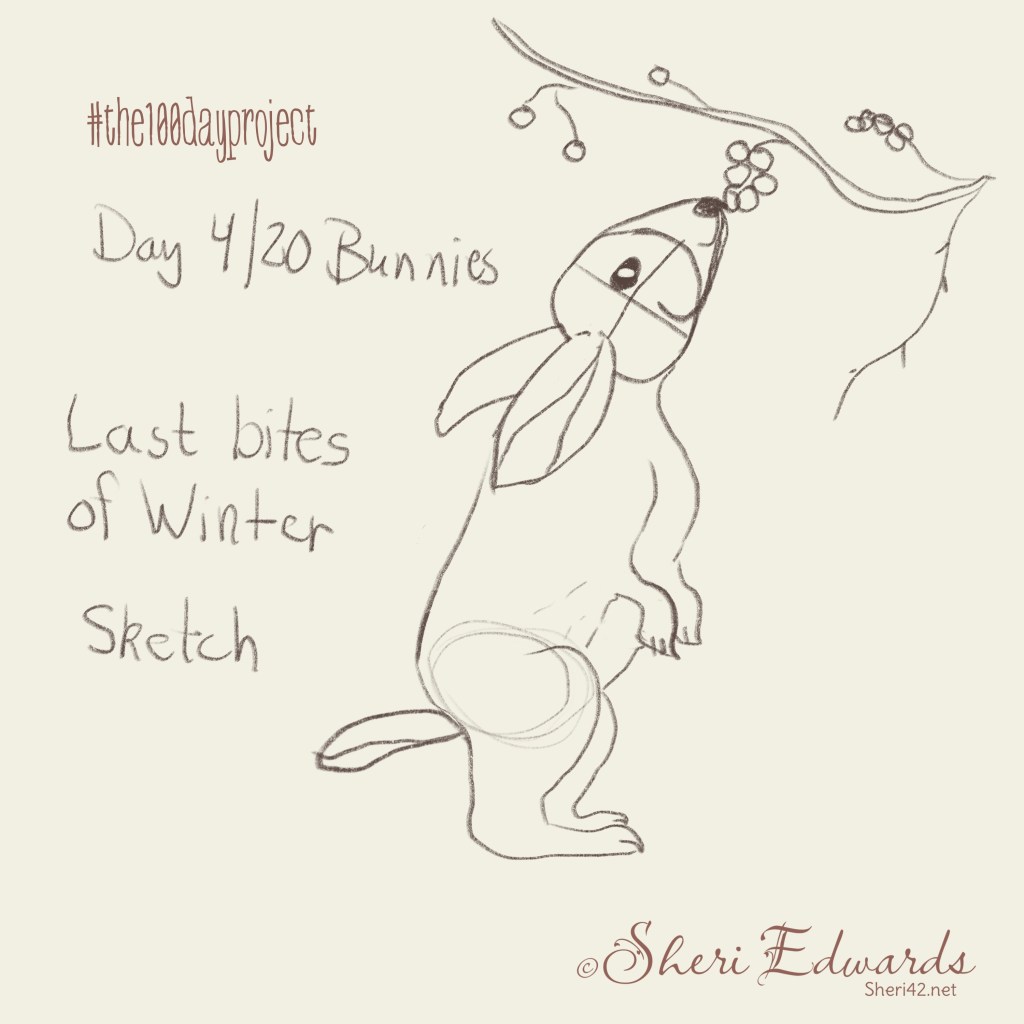 bunnies: Day 4 out of 20 Sketch of bunny reaching up for "last bites of winter"