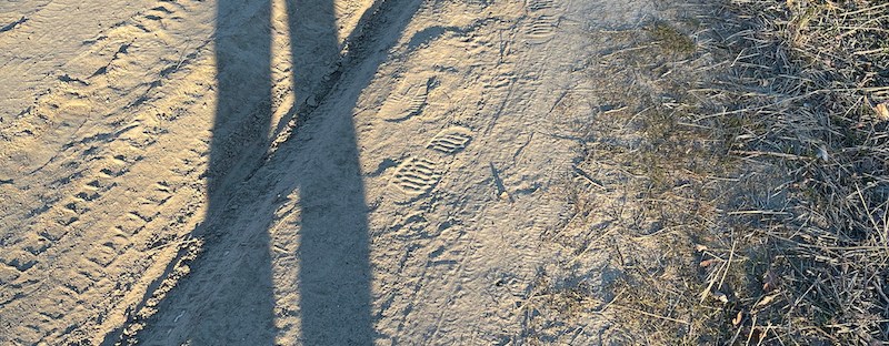 winter here is a bit brown, with an occasional patch of snow white. But when the sun shines, our shadows are bold, especially when we boldly choose a dusty path