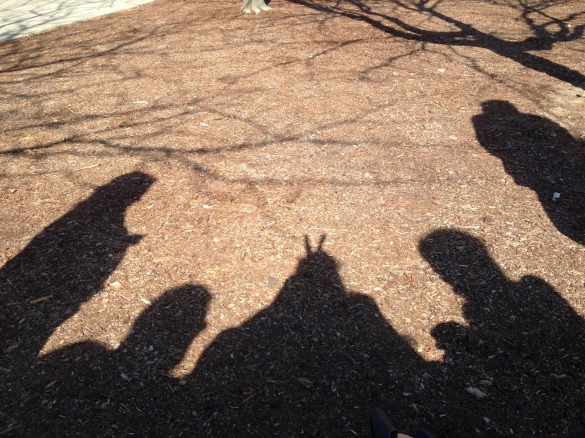 Family fun and one funny one: Shadows on the ground; one with finger "bunny ears"
