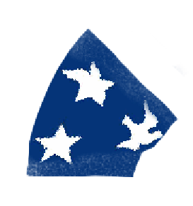 Peace Corp-- peace and all creatures, night and day:  blue with two white stars and white dove 