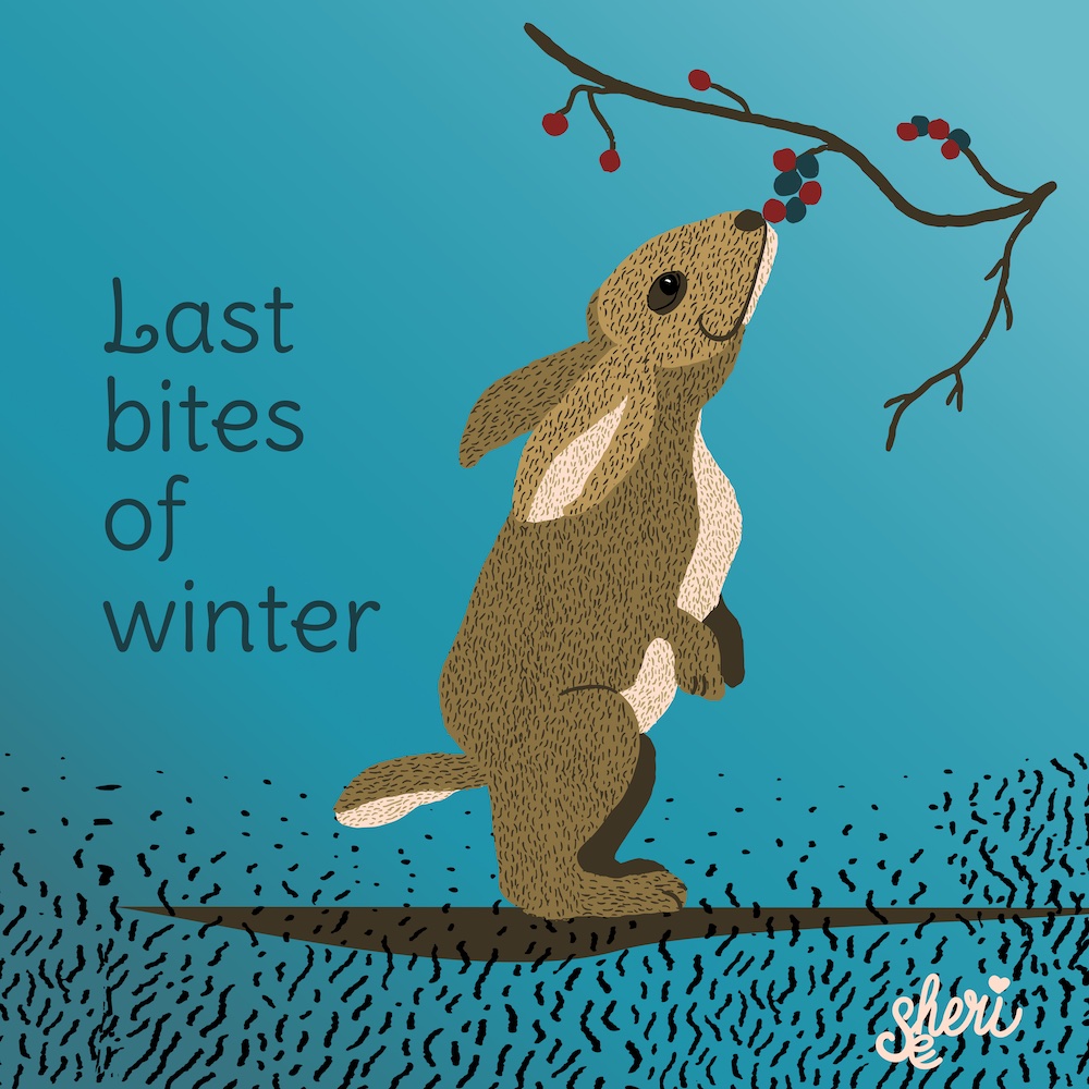 Affinity Designer bunny eating berries by Sheri42