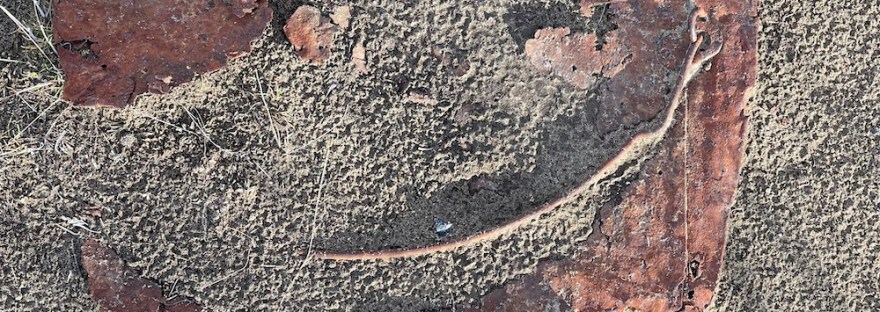 Weird. I found a smile in the sand, but it was just a flattened, rusted old can. Poetry by Sheri Edwards