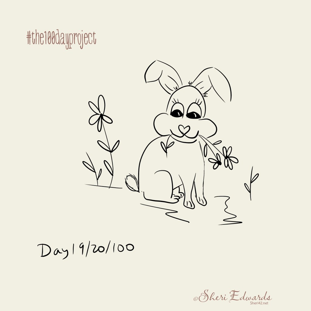 rabbit eating daisies smiling by Sheri42