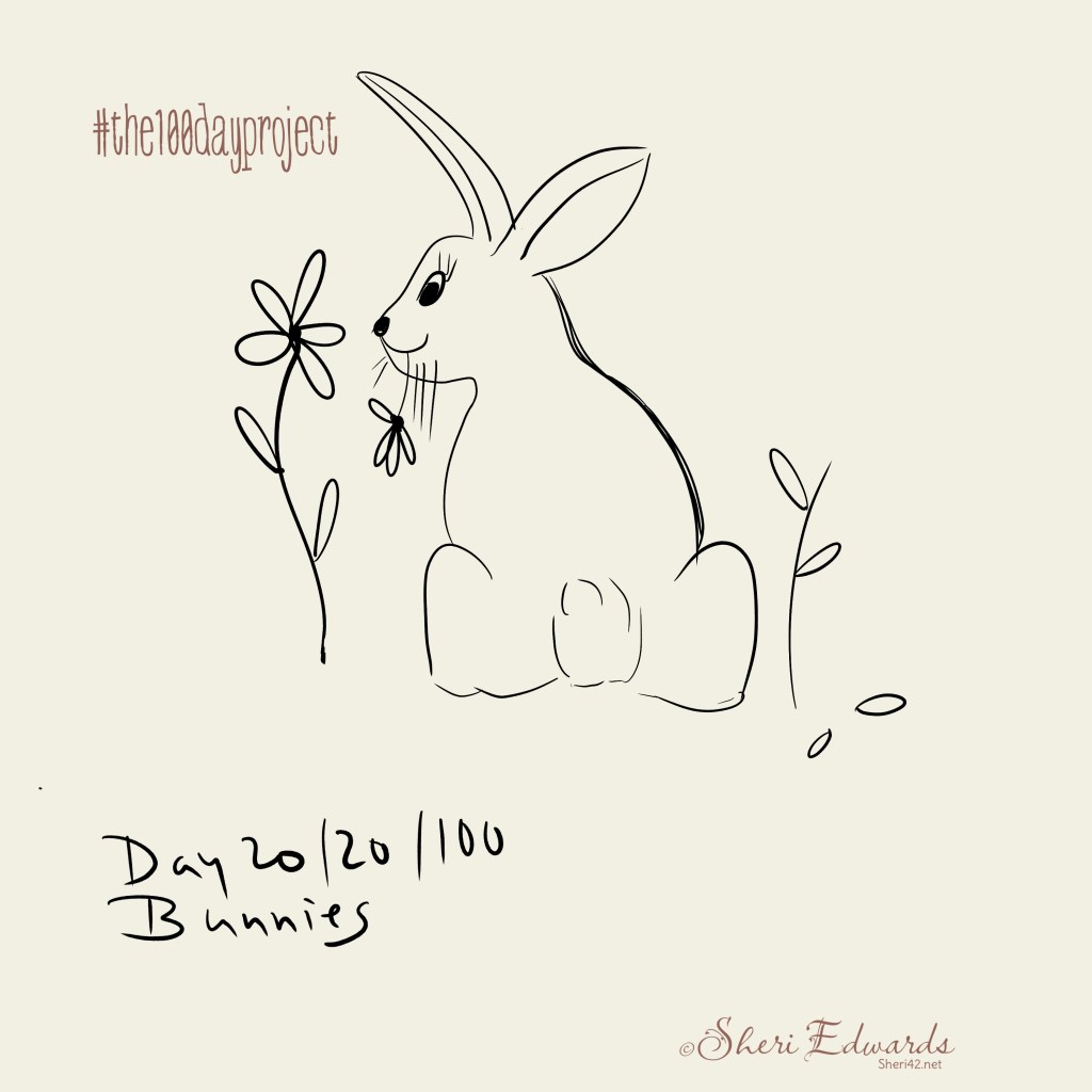 rabbit eating daisies by Sheri42