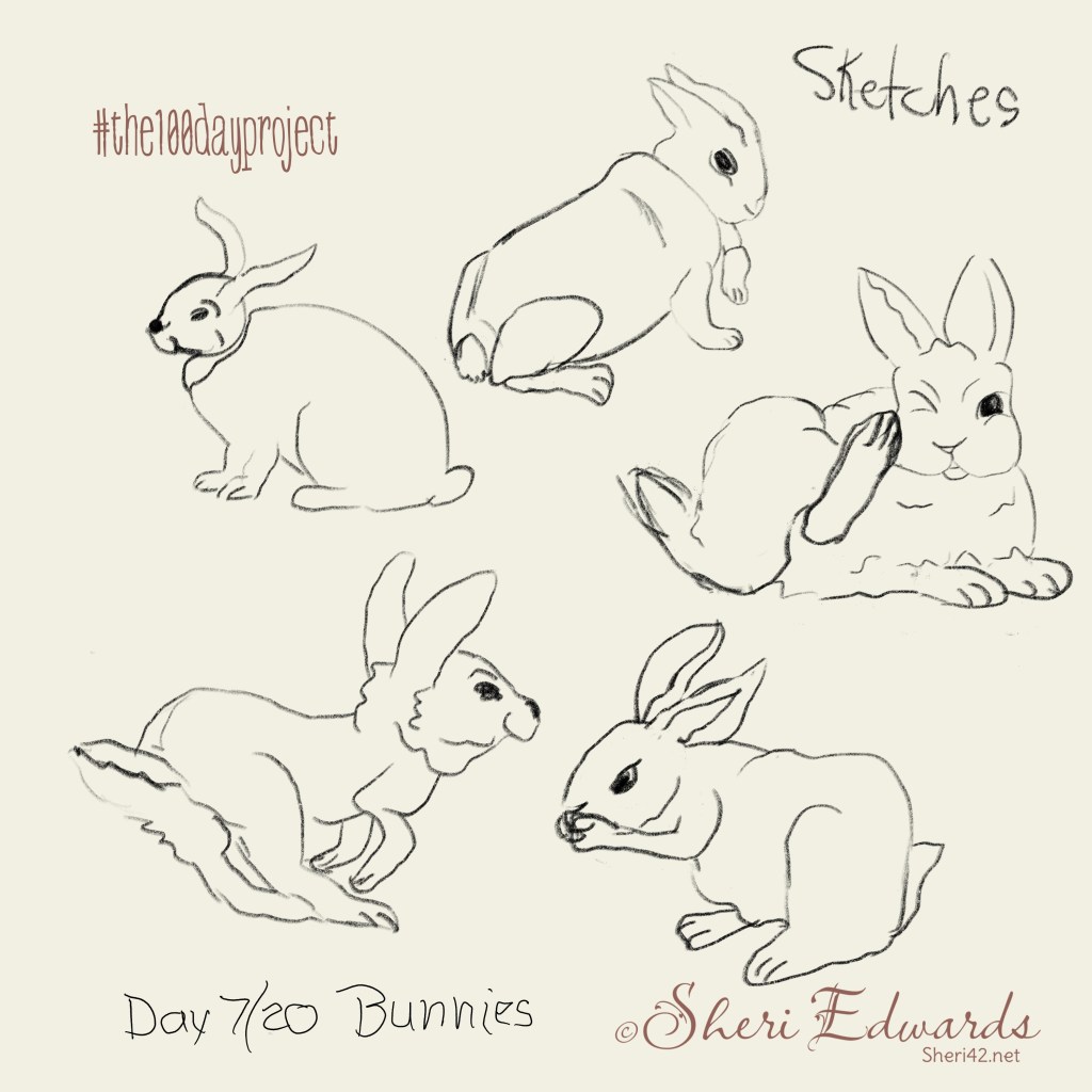 bunny day 7 five sketches