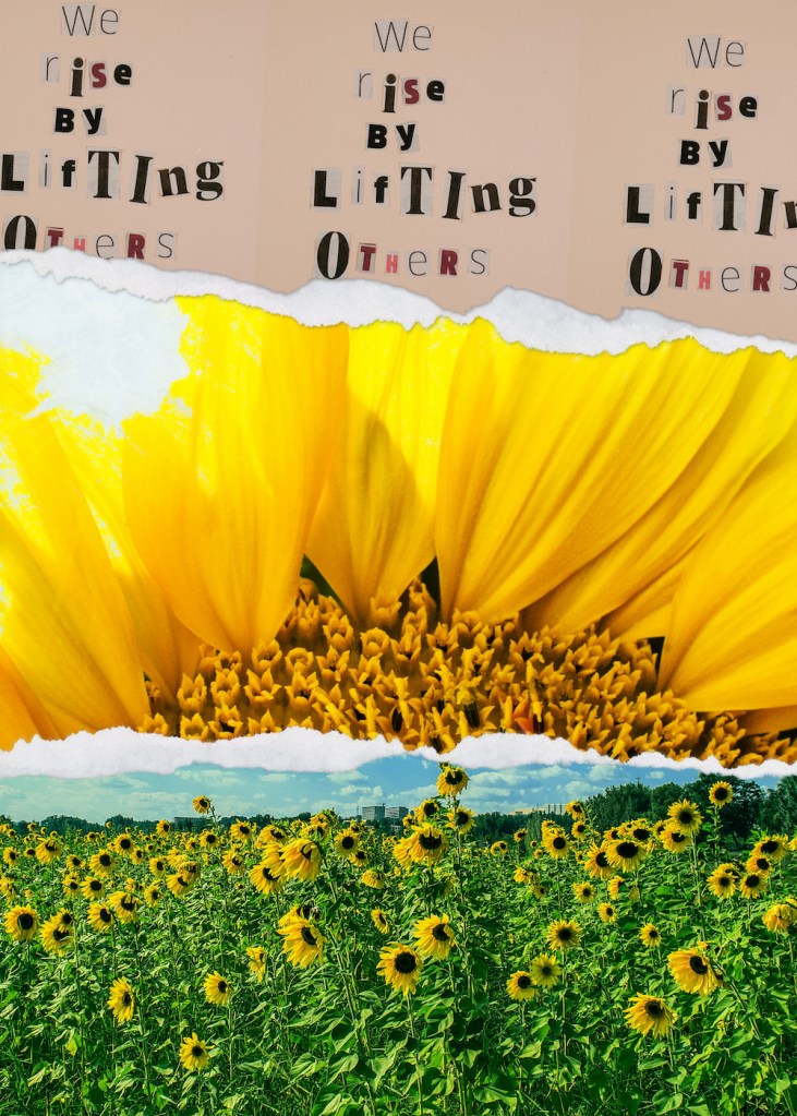 "We rise by lifting others" over enlarged part of sunflower and a field of sunflowers by Sheri42. Torn paper effect in Affinity Designer by Sheri42