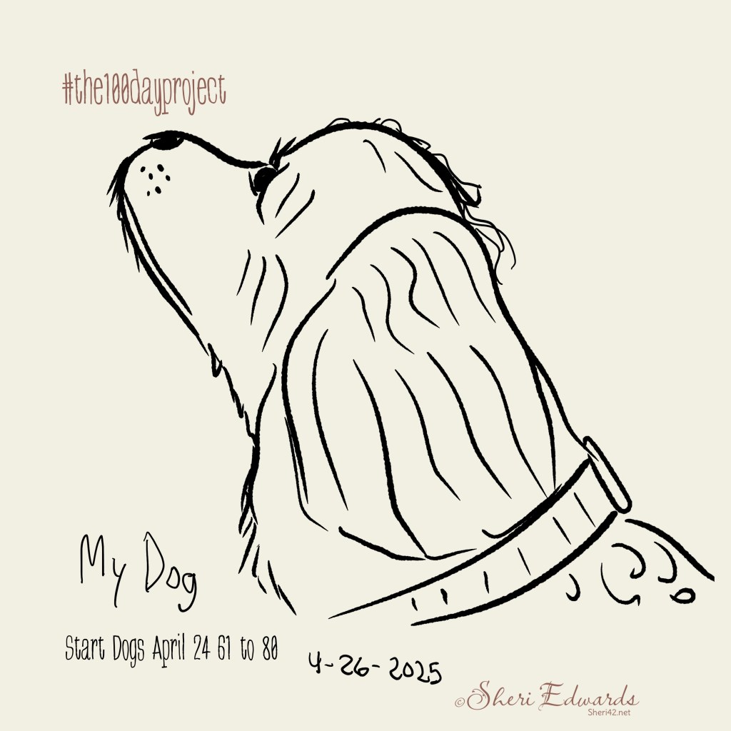 Sketch of my dog looking up at me: by Sheri42