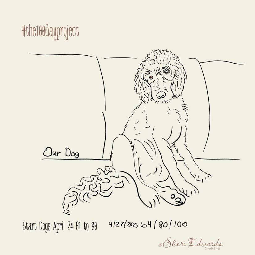 our huge puppy; so lazy, waiting for a walk while napping sitting up on the couch