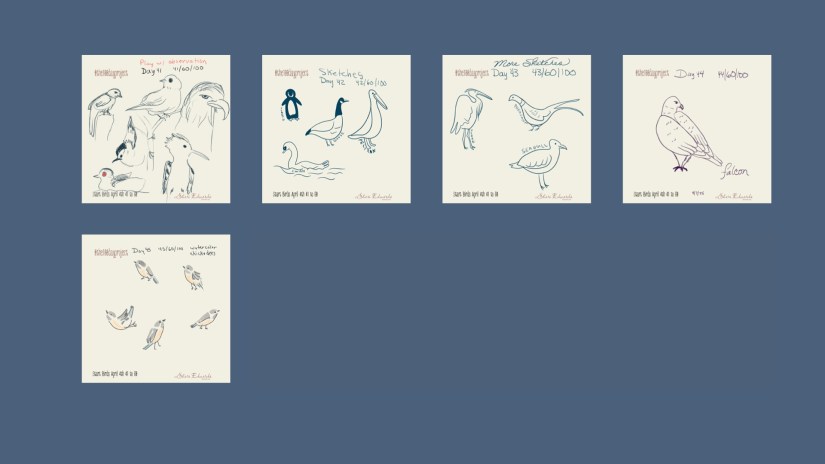 #the100dayproject start of Bird set: sketches by Sheri42