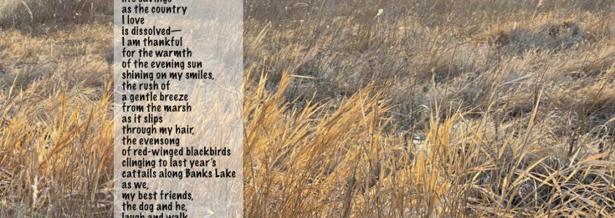 along Banks Lake, Wa; a poem: I Am Thankful No matter the chaos of losing one’s life savings as the country I love is dissolved— I am thankful for the warmth of the evening sun shining on my smiles, the rush of a gentle breeze from the marsh as it slips through my hair, the evensong of red-winged blackbirds clinging to last year’s cattails along Banks Lake as we, my best friends, the dog and he, laugh and walk at day’s end. Sheri Edwards Poetry/Photography 04.07.2025 NaPoWriMo