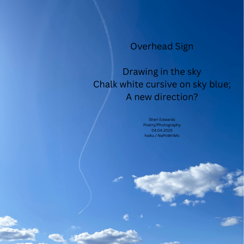 Overhead Sign Drawing in the sky Chalk white cursive on sky blue; A new direction? Sheri Edwards Poetry/Photography 04.04.2025 haiku / NaPoWriMo