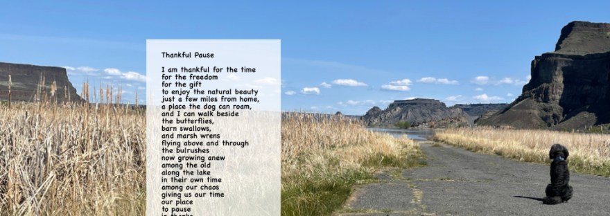 end of the road on Banks Lake, WA and poem: Thankful Pause I am thankful for the time for the freedom for the gift to enjoy the natural beauty just a few miles from home, a place the dog can roam, and I can walk beside the butterflies, barn swallows, and marsh wrens flying above and through the bulrushes now growing anew among the old along the lake in their own time among our chaos giving us our time our place to pause in thanks for earth’s beauty; a landscape to emulate in literal and metaphoric ways in our daily lives wherever we may be and whatever we do. Sheri Edwards Poetry/Photography 04.25.2025 NaPoWriMo