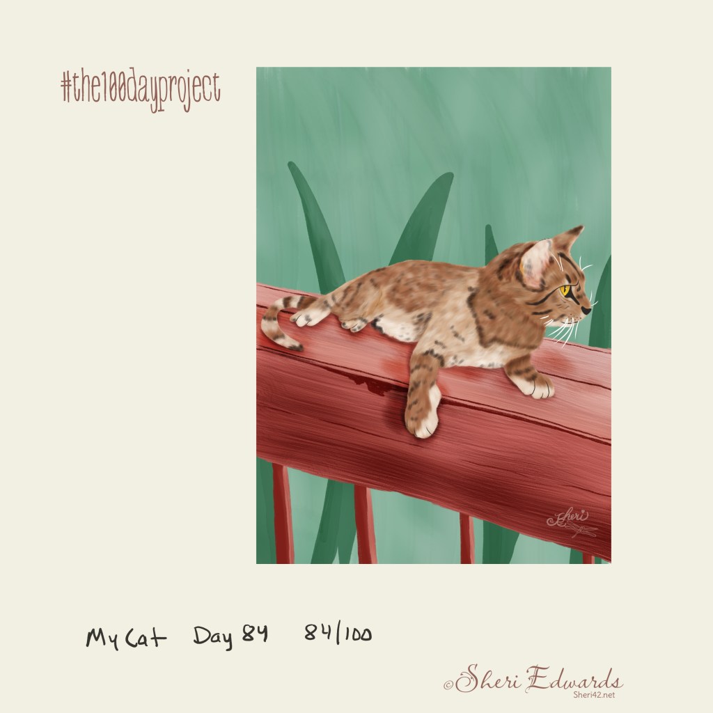 my cat; alert cat with darker colorings day 84 by Sheri42