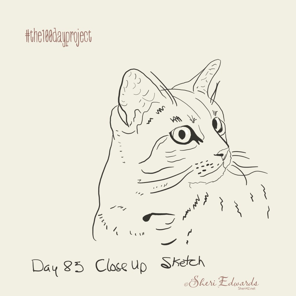 Close up sketch day 85 by Sheri42