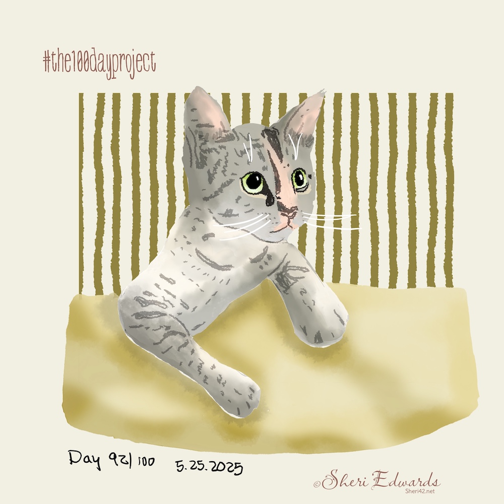 Day 92 kitten in her space by Sheri42