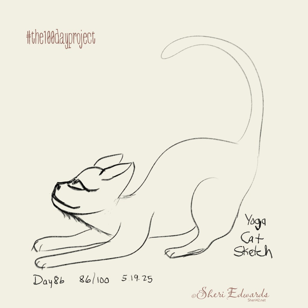 sketch of yoga cat by Sheri42 day 86