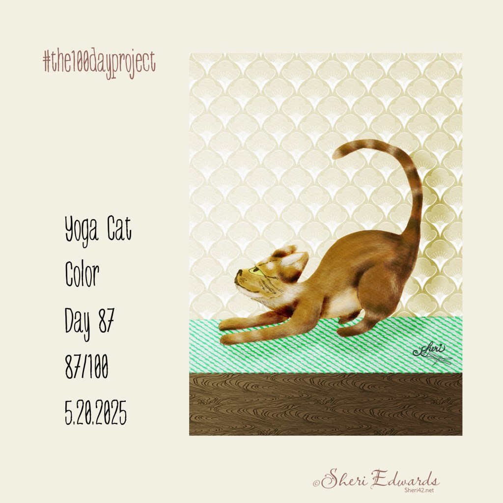 brown almost tabby and yoga cat, stretching cat; day 87 by Sheri42