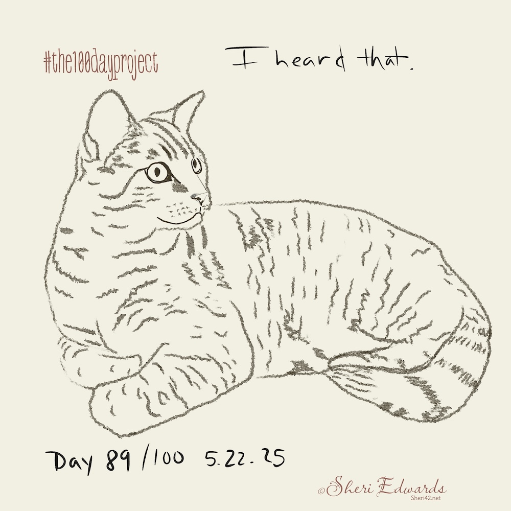 Day 89 sketch for Cat hears something by Sheri42