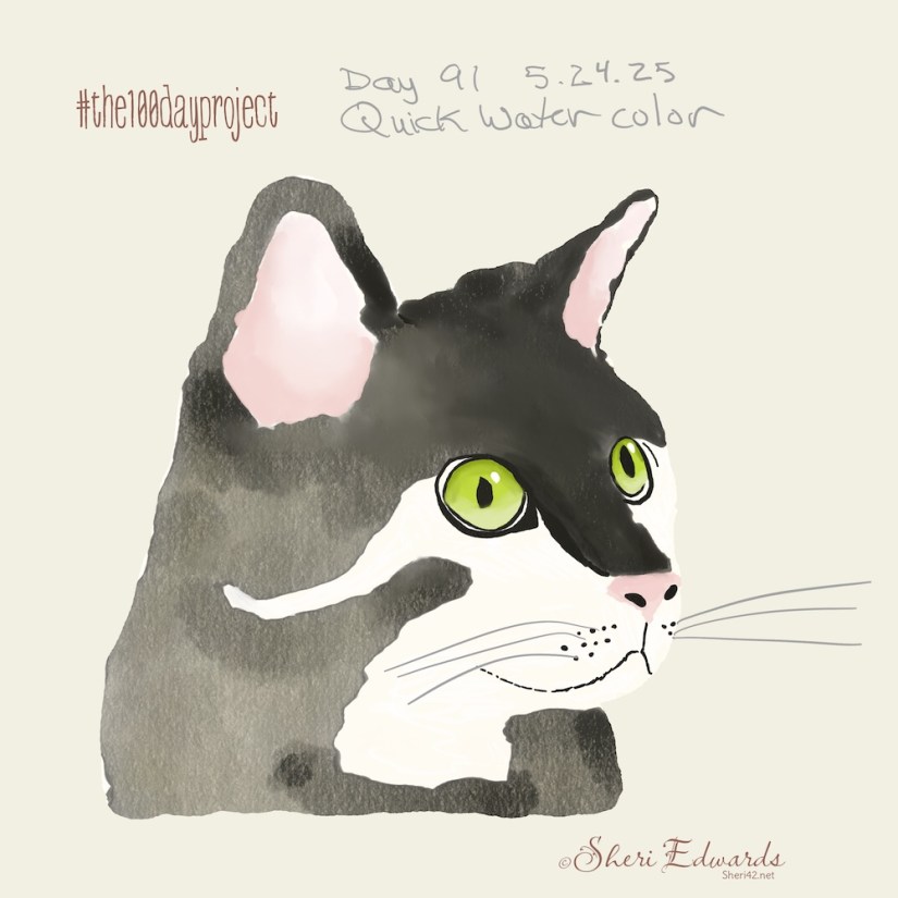 Day 91 Black/White cat searching for that spider by Sheri42