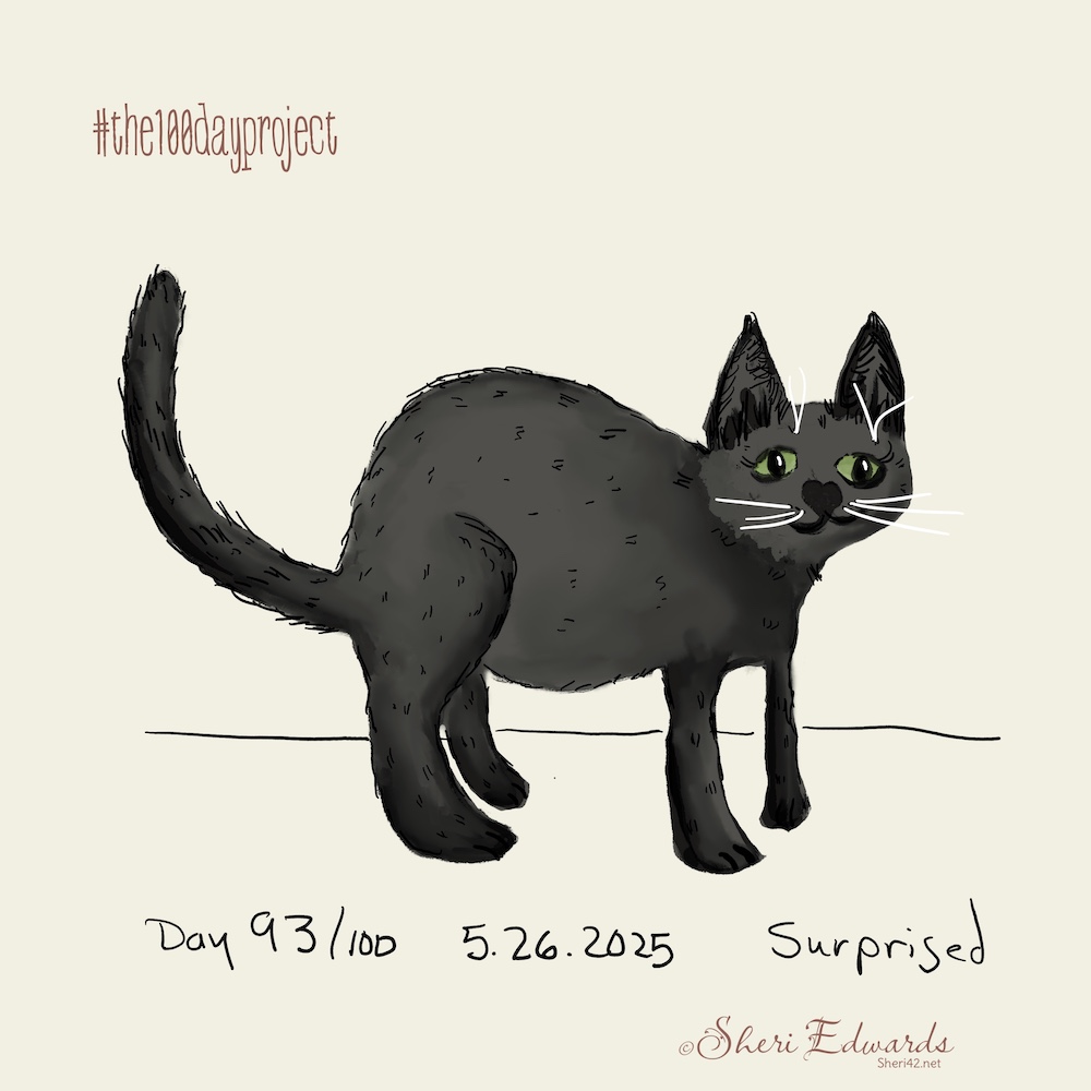 Day 93 surprised cat by Sheri42
