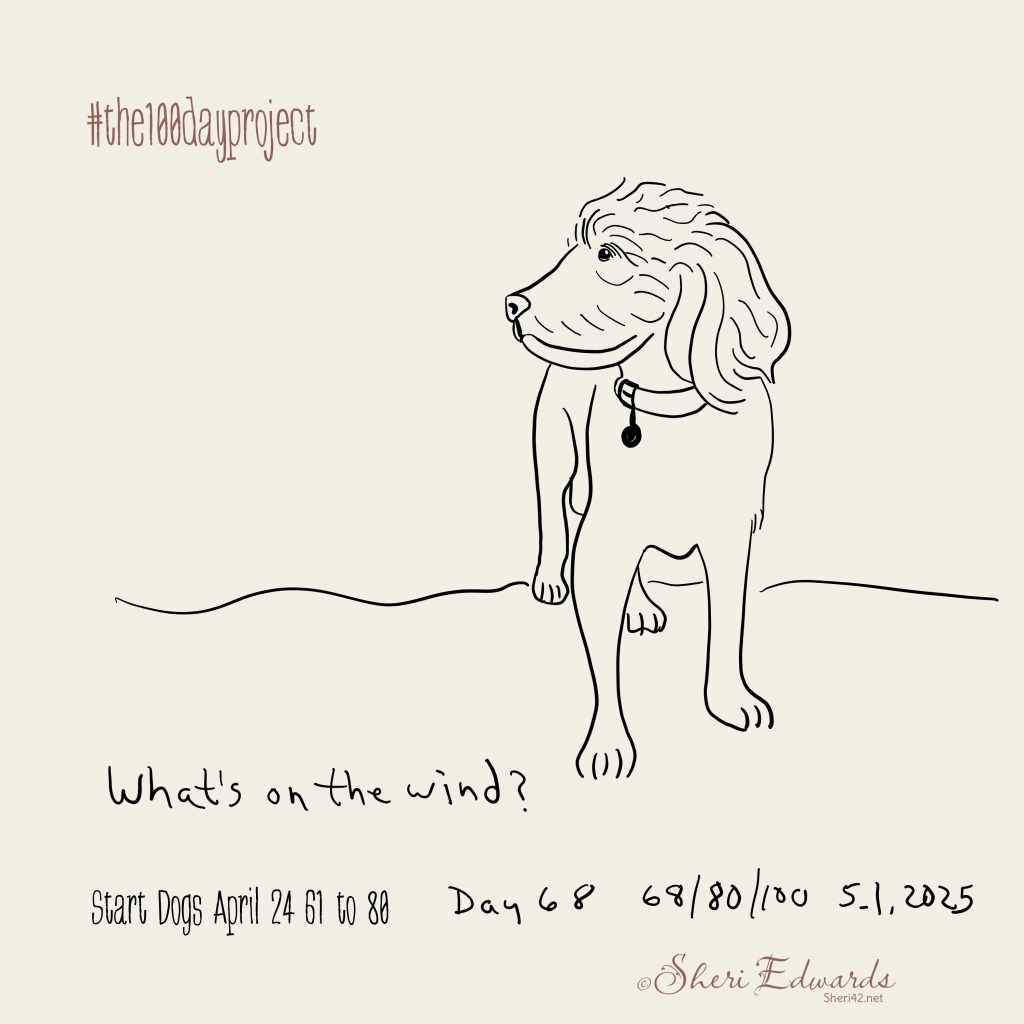 Day 68 A windy day, and the dog is catching the sent: What's on the wind?