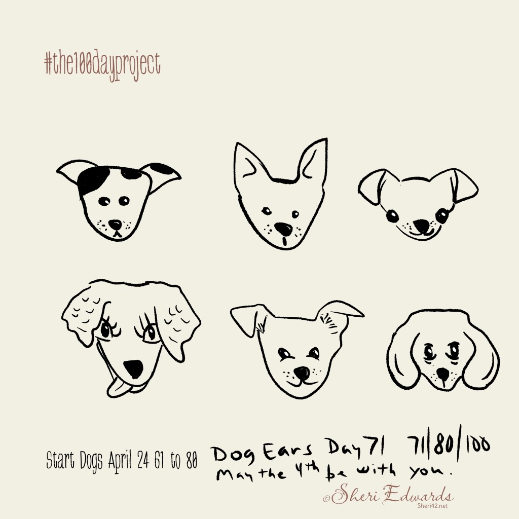 Day 71 dog ears