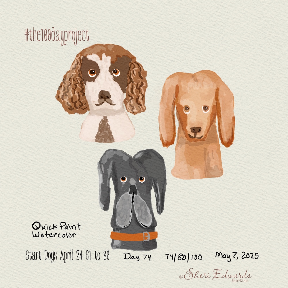 Day 74 #the100dayproject by Sheri42 Three Breeds looking at you; watercolor