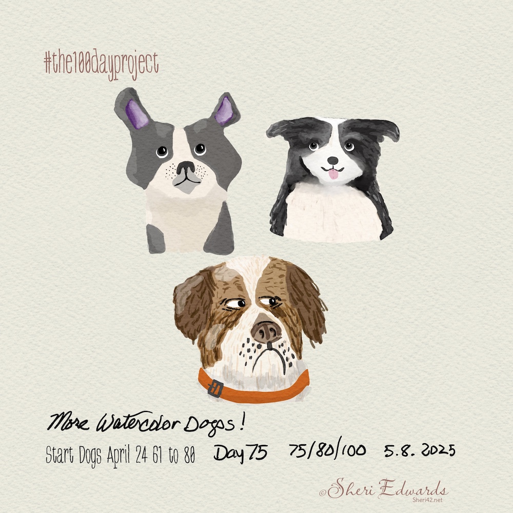 Day 75 #the100dayproject by Sheri42 three breeds; watercolor