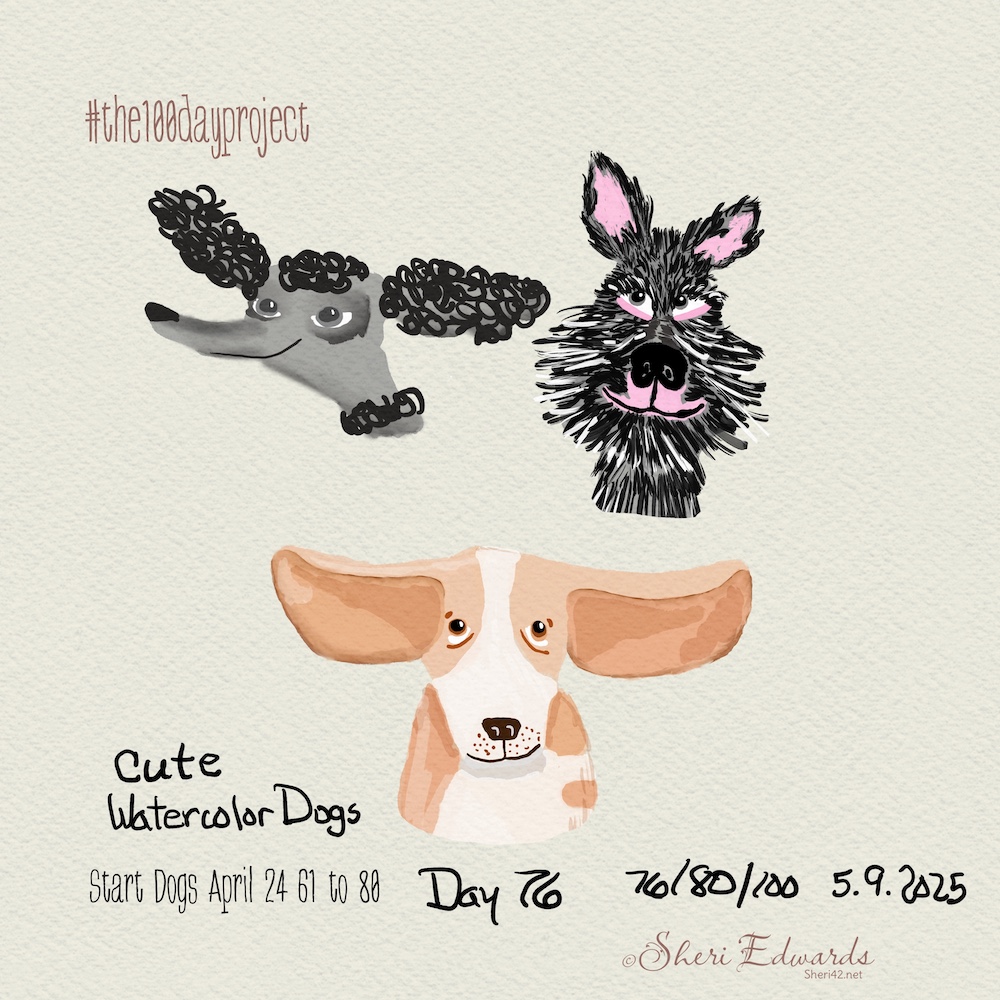 Day 76 #the100dayproject by Sheri42 three breeds; watercolor/ink