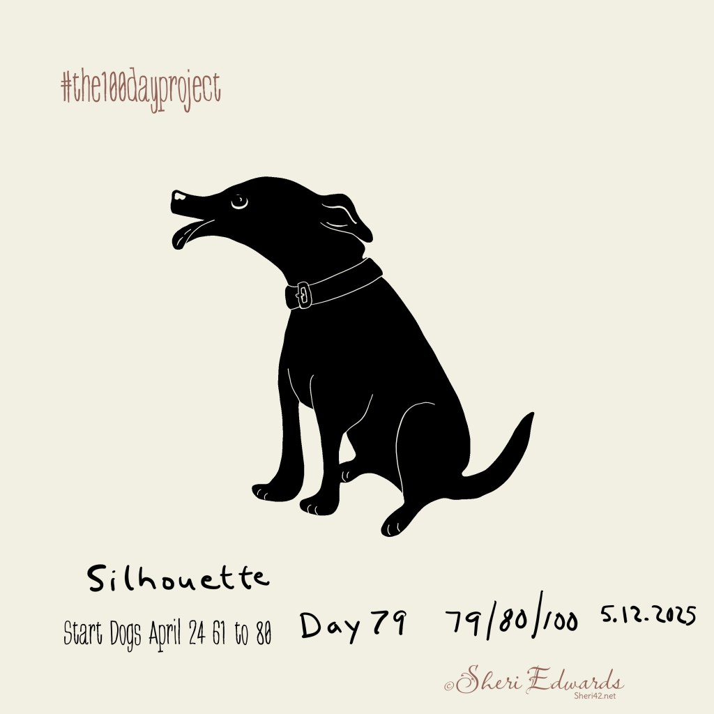 Day 79 #the100dayproject by Sheri42 silhouette of sitting dog