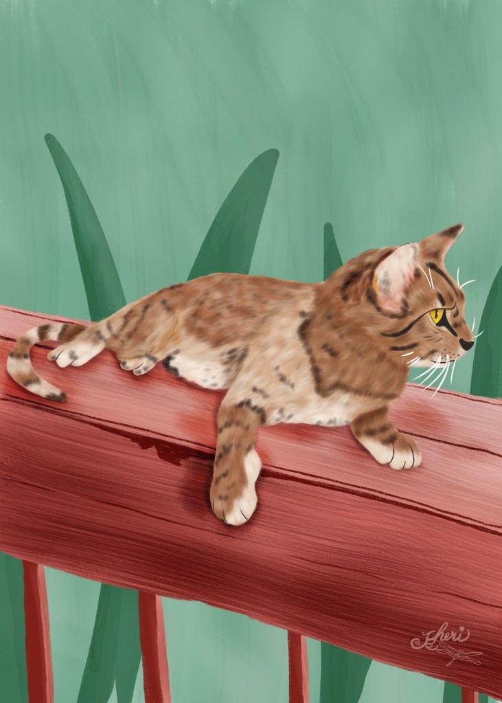 full size my cat; alert cat with darker colorings day 84 by Sheri42